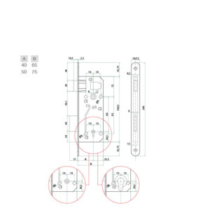 B-Evo - Image 4
